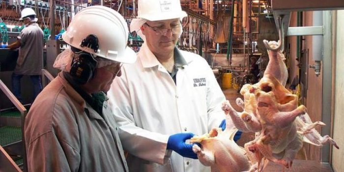 poultry_inspection-usda-pNTErX-rss
