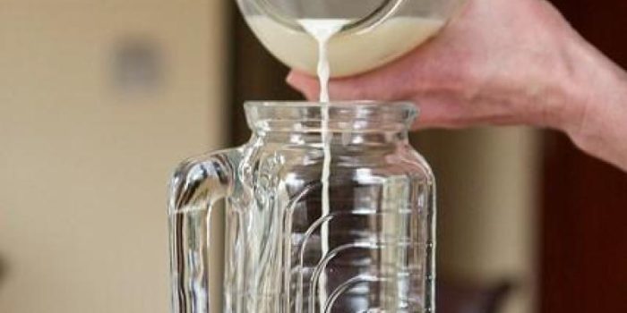 raw_milk-chiots_run-crop-3NGjns-rss